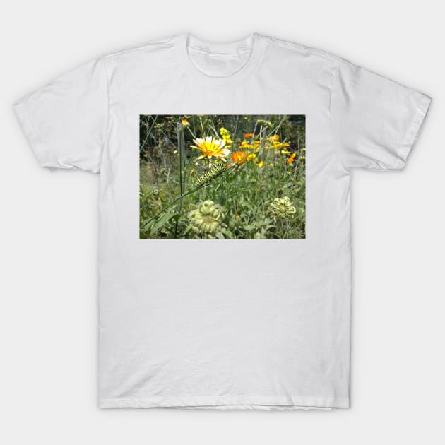 Caterpillar T-Shirt by Gourmetkater